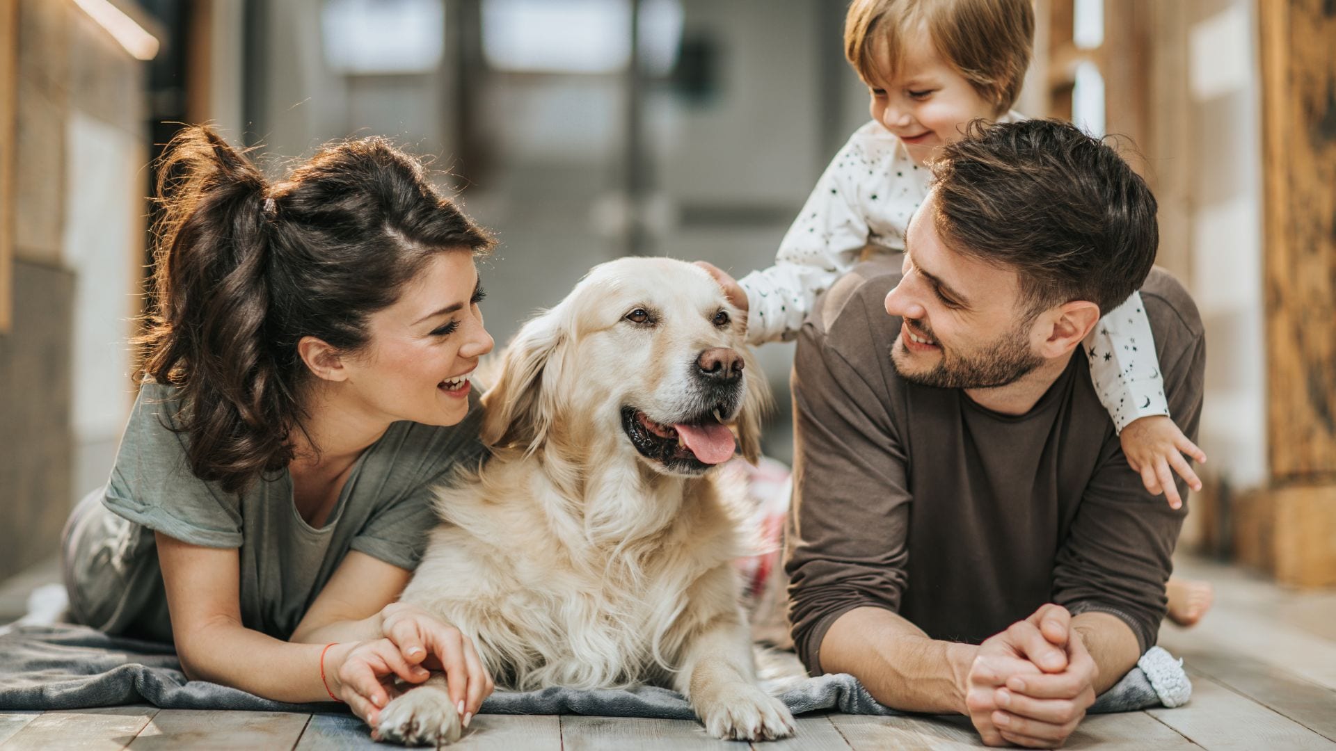 Choix de couverture santé en couple — accompagnement Ariana Invest